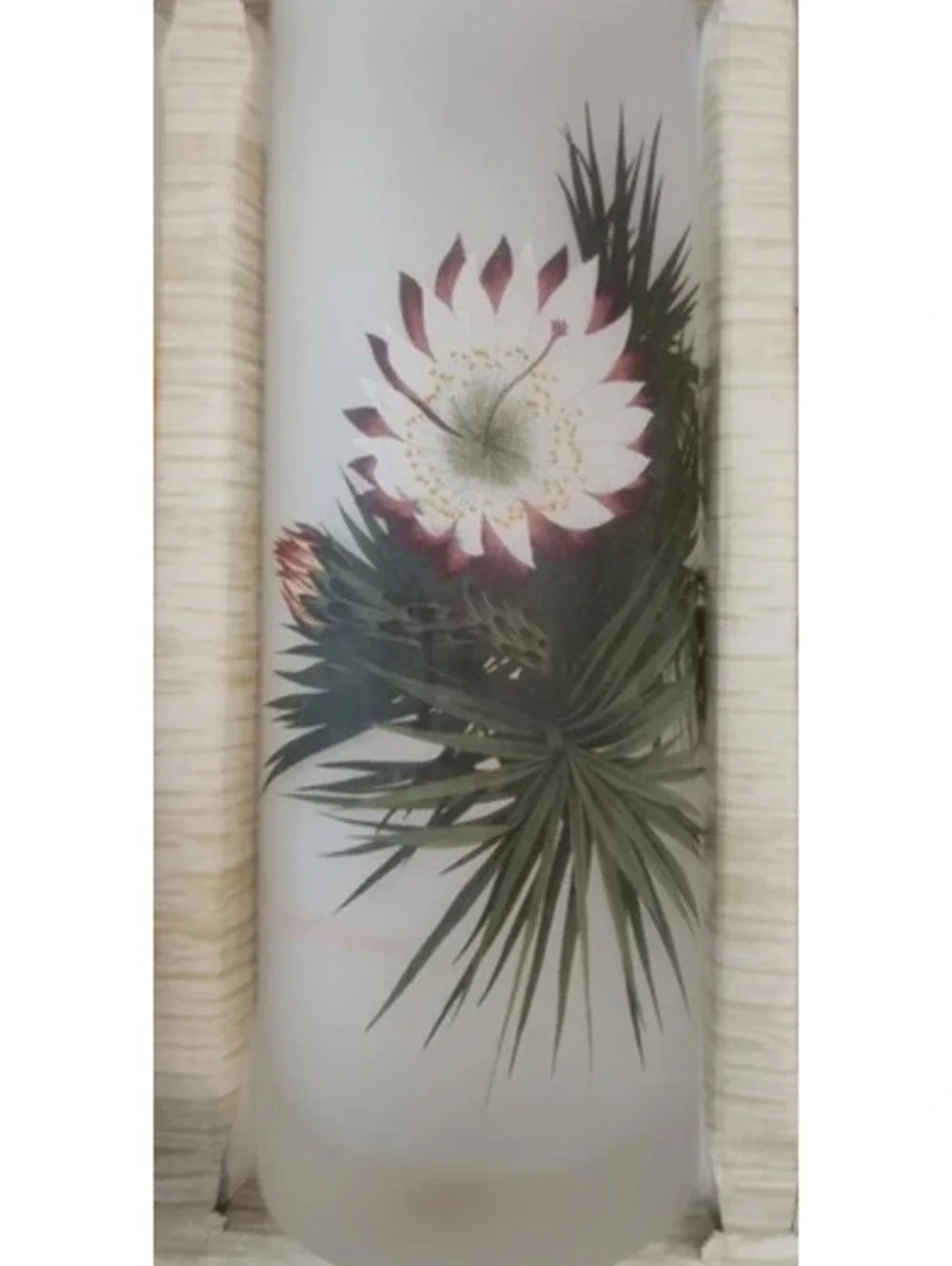 Vintage Collector's Tommy Bahama Frosted Tropical Tumblers Set of 6 (Never Used)